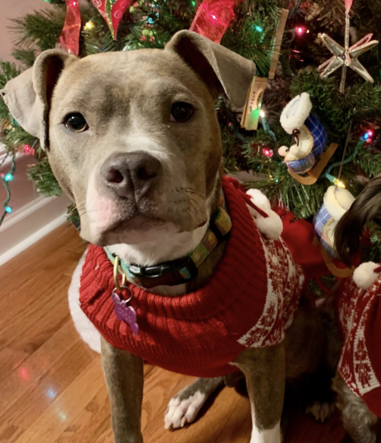 Coco